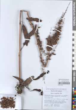 KPABG050939