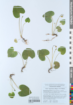 KPABG052806