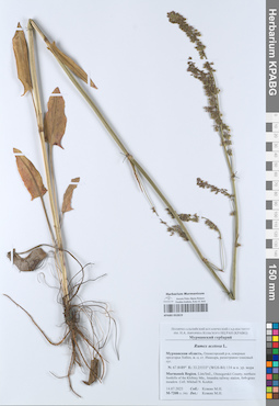 KPABG052819
