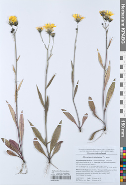 KPABG052822