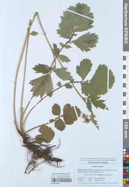 KPABG052843