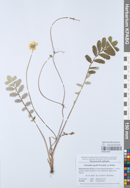 KPABG052844