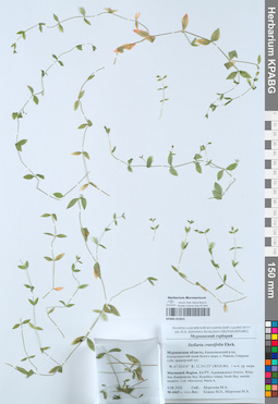KPABG052852