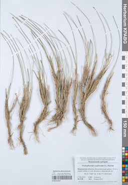 KPABG052859
