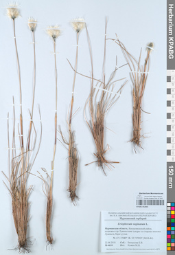 KPABG052865