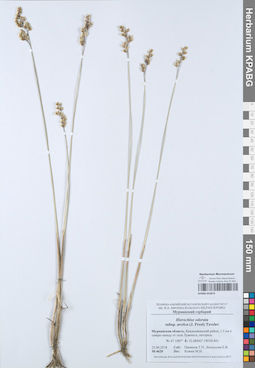KPABG052872