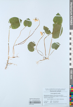 KPABG052895