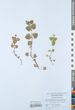 KPABG052914