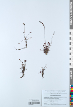 KPABG052915