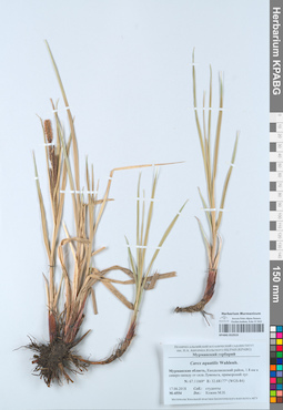 KPABG052919