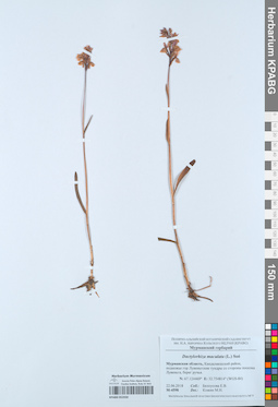KPABG052930