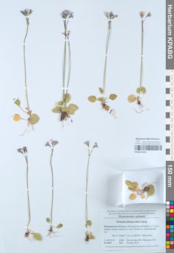 KPABG052932