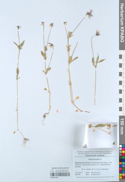 KPABG052941