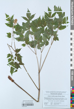 KPABG052945