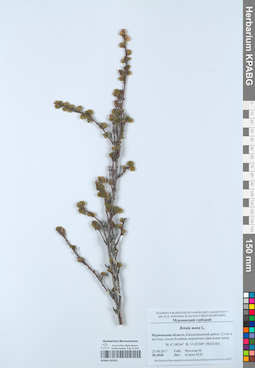 KPABG052951