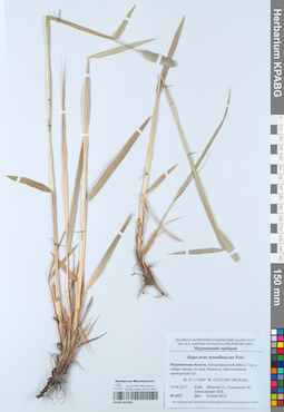 KPABG052960