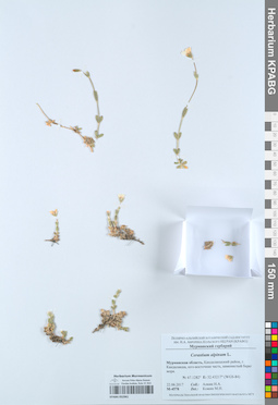 KPABG052961