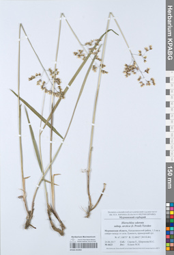 KPABG052963