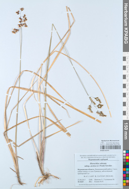KPABG052970