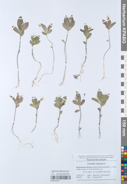 KPABG052979