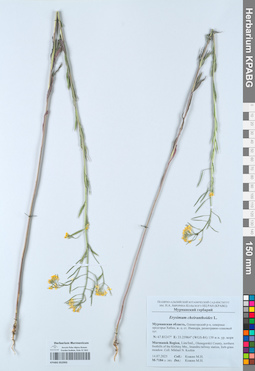 KPABG052993