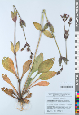 KPABG052995