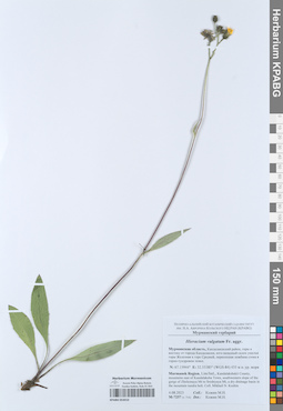KPABG053010