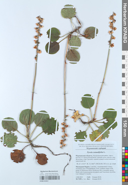 KPABG053012