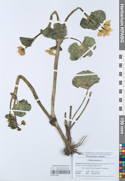 KPABG053021