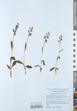 KPABG051698