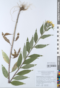 KPABG051704