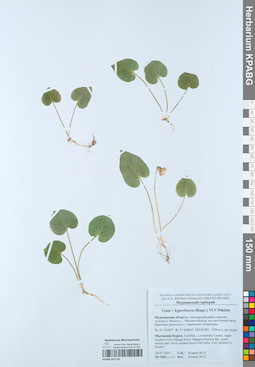 KPABG051718