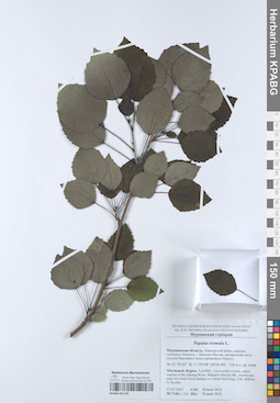 KPABG051720