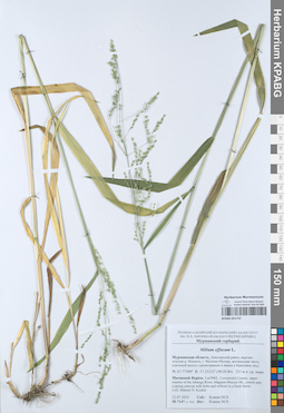 KPABG051722