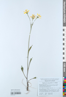 KPABG051736