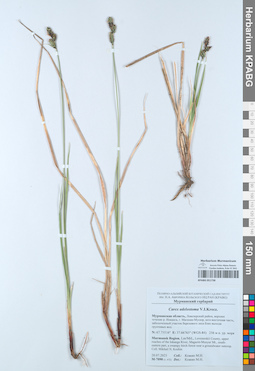 KPABG051738