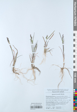 KPABG051741