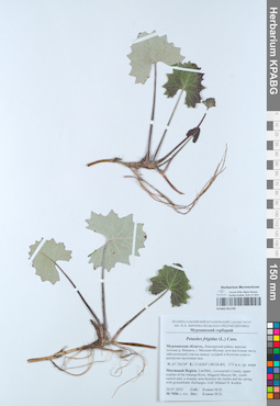 KPABG051745