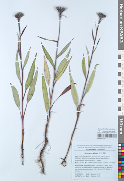 KPABG051750