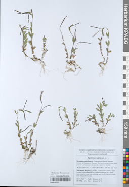 KPABG051767