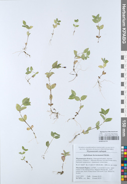 KPABG051770