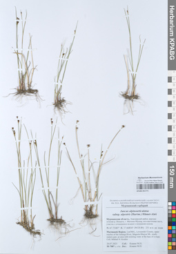 KPABG051771