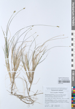 KPABG051844
