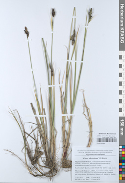 KPABG051845