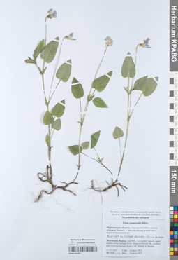 KPABG051867