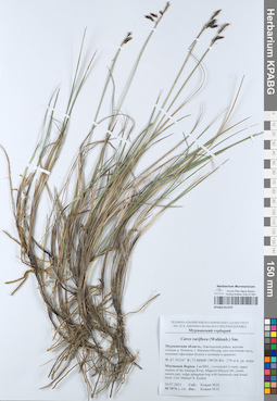 KPABG051870