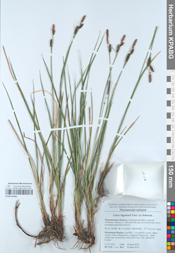 KPABG051881