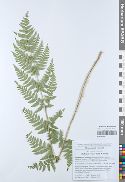 KPABG051889