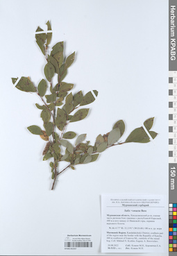 KPABG052357