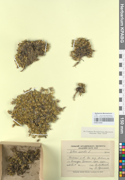 KPABG050436